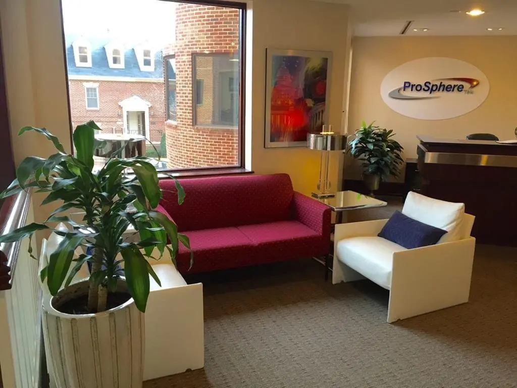 a room with a couch and a plant